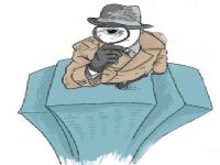 册亨县取证公司解说第三者承担离婚赔偿责任吗